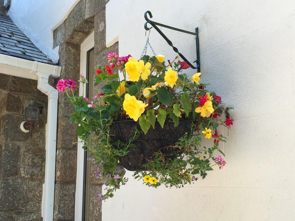 Dartfordleigh B&B Postbridge Εξωτερικό φωτογραφία