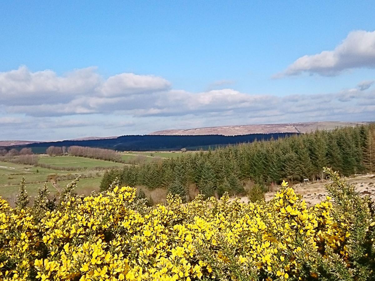 Dartfordleigh B&B Postbridge Εξωτερικό φωτογραφία
